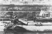u250_2.jpg