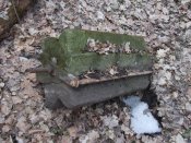 DSCF8188.jpg