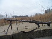 SAM_4095.JPG