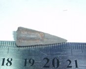 P3020183.JPG