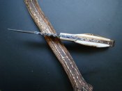 DSC01781.JPG