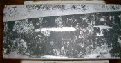 DSC04460.JPG