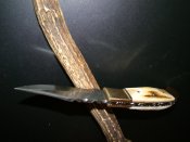 DSC01782.JPG