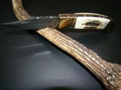 DSC01783.JPG