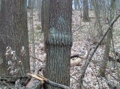 DSC_0263.jpg