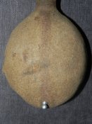 DSCN1145.jpg