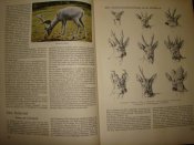 DSC01660.JPG