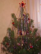 DSC04458.jpg