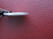 IMG_8638 (Small).jpg