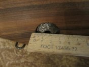 IMG_3378.JPG