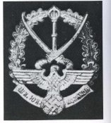 img022.jpg
