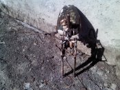 IMG004.jpg