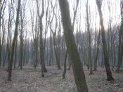 213.jpg