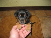 IMG_1203.JPG