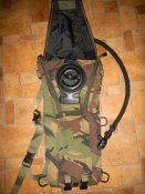 DSCN4295.jpg