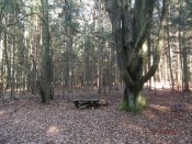 DSCF2882a.jpg