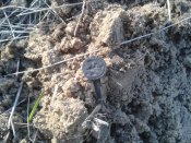 20140313_090241.jpg