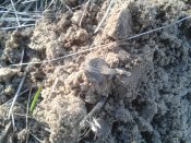 20140313_090249.jpg