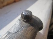 IMG_7956.jpg