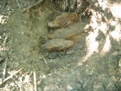 DSCN2408.jpg