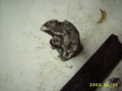 DSCI0832.JPG