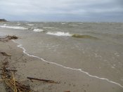 IMG_1348.JPG