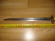 DSC08730.JPG