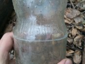 DSC_1311.JPG
