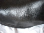 DSC08297.JPG