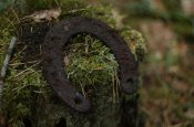 DSC_6803.jpg