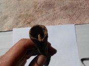 Изображение 395.jpg