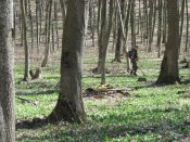 IMG_1526.JPG
