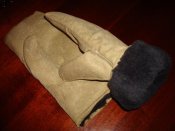DSC06142.jpg