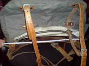DSC05266.jpg
