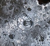 P3191777-1.jpg