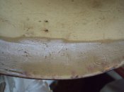 DSC04739.JPG