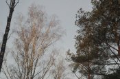 DSC_7075.jpg