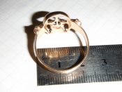 DSCF6350.JPG