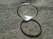 DSCN8223.JPG