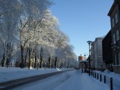 SDC10243.JPG