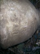 DSC_1382.JPG