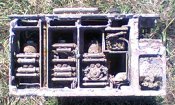 Фото0659.jpg