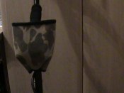 DSC00710.JPG