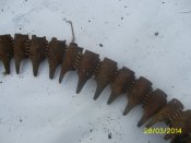 PIC_0067.JPG