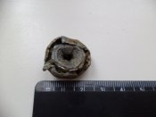 DSC01747.JPG