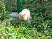 IMG_0301.JPG