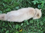 IMG_0308.JPG