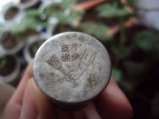 DSC04943.JPG