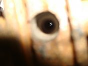 DSC04038.JPG