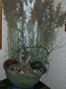 DSCN0213.jpg